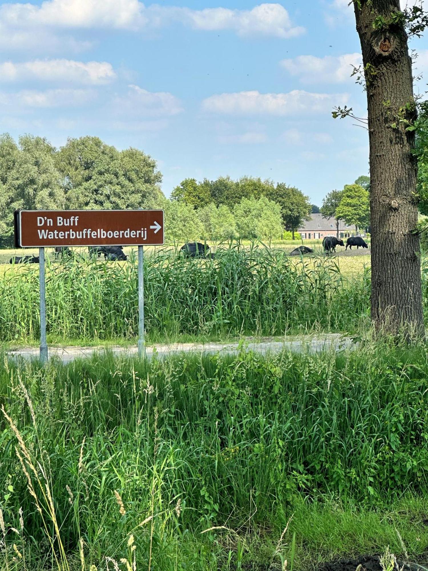Gasterij Hotel Dennenoord Boxtel Kültér fotó